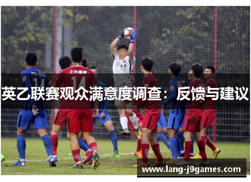 英乙联赛观众满意度调查：反馈与建议